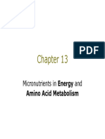 Micronutrients Role in Energy and Amino Acid Metabolism