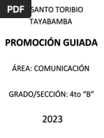 PROMOC. GUIADA COMUNICACIÓN 4to B Prof. SONIA CASTILLO R.