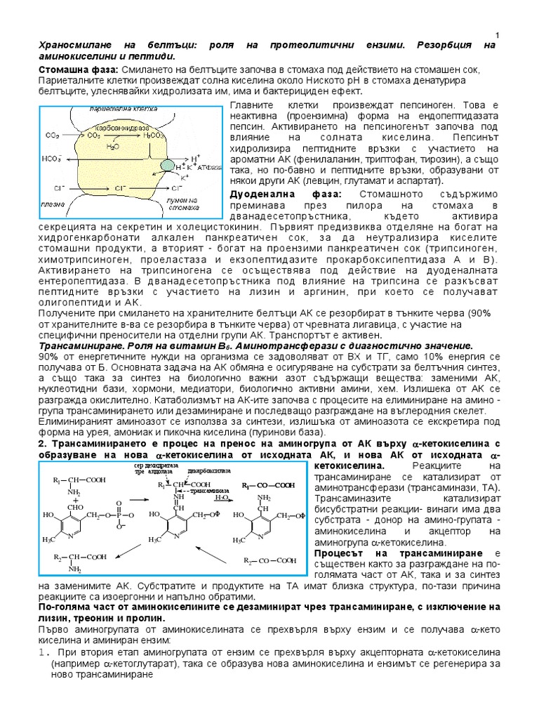Aminokiselini | PDF
