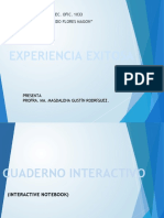 Experiencia Exitosa