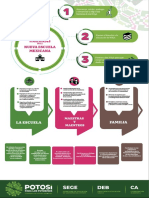 Nuevo Plan SLP PDF