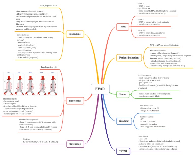 evar-9-pdf-cardiovascular-system-angiology