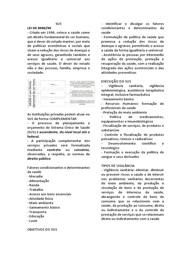 lei-8080-90-ras-resumo-completo-pdf-epidemiologia-rede-de