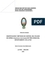 Control de pulgón en ciprés con métodos orgánicos