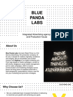 Blue Panda Labs: Integrated Advertising Agency and Production House