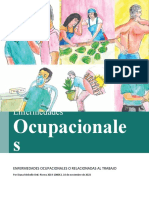 Enfermedades Ocupacionales - ORTÍZ, DIANA