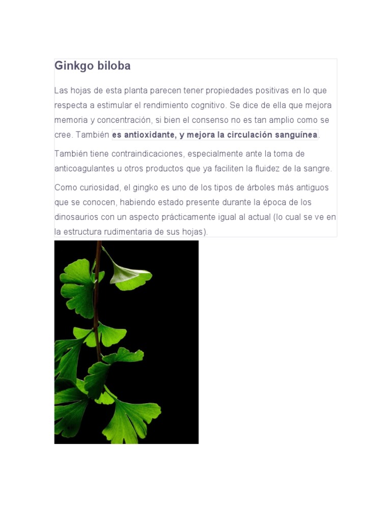 ginkgo biloba usos PDF Té Estrés (biología)
