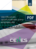 Identificando Oportunidades para Empreender