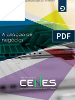 2.A Criação de Negócios