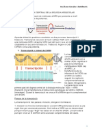 Resumen Dogma Central de La Biologia