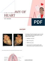 Anatomy of Heart (Tutor Cvs Case 1)