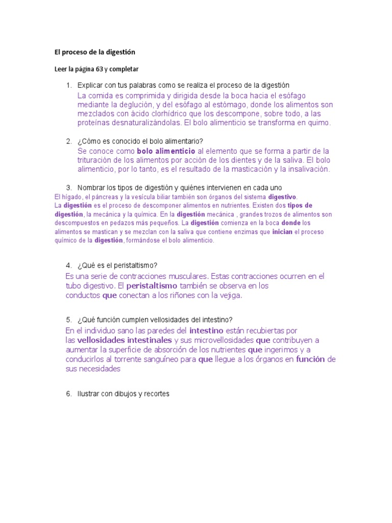 El Proceso De La Digestion Pdf