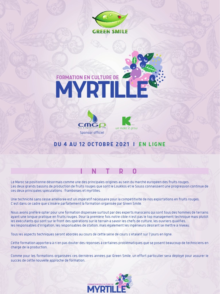 Myrtille dans le souss - Greensmile