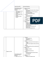 Lanjutan Format Nursing Care Plan