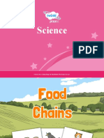 Lesson Presentation Food Chains