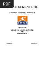 Download Shree Cement 2 by Roma Pareek SN61941535 doc pdf
