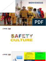 1 Presentacion Safety Culture