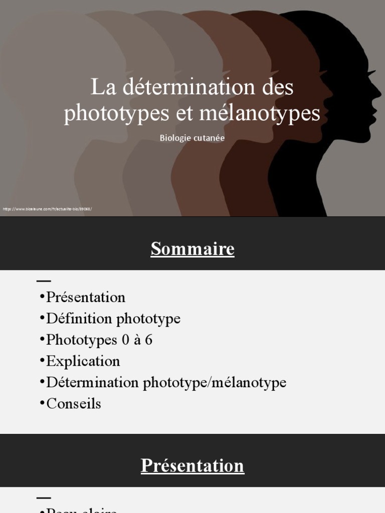 La Détermination Des Phototypes Et Mélanotypes | PDF