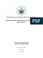 (Alvarado & Arango, 2020) Impacto de Las Microfinanzas en America Latina