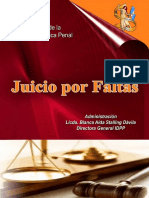 5462940 Juicio Por Faltas