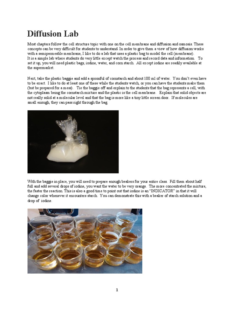 Diffusion LabBag Experiment PDF Osmosis Chemistry