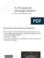 Principios de Electroencefalografia