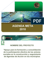 Introduccion Programa Agenda Meta 2010