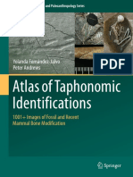 (Vertebrate Paleobiology and Paleoanthropology) Yolanda Fernández-Jalvo, Peter Andrews - Atlas of Taphonomic Identifications_ 1001+ Images of Fossil and Recent Mammal Bone Modification-Springer Nether