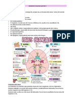 Anatomía Resumen Parcial 2