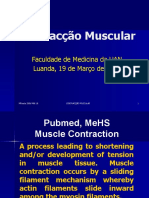 Contração muscular: processo de encurtamento e desenvolvimento de tensão no músculo