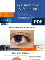 Ophthalmology V Eye Anatomy and Function