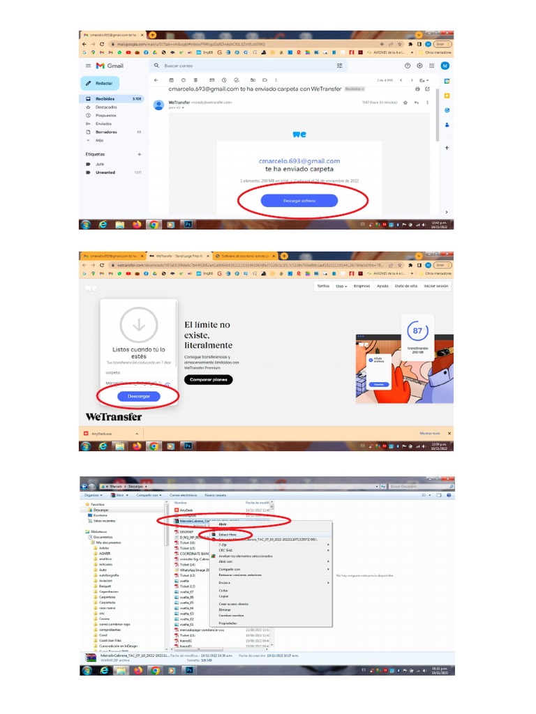Tutorial Visor TAC PDF