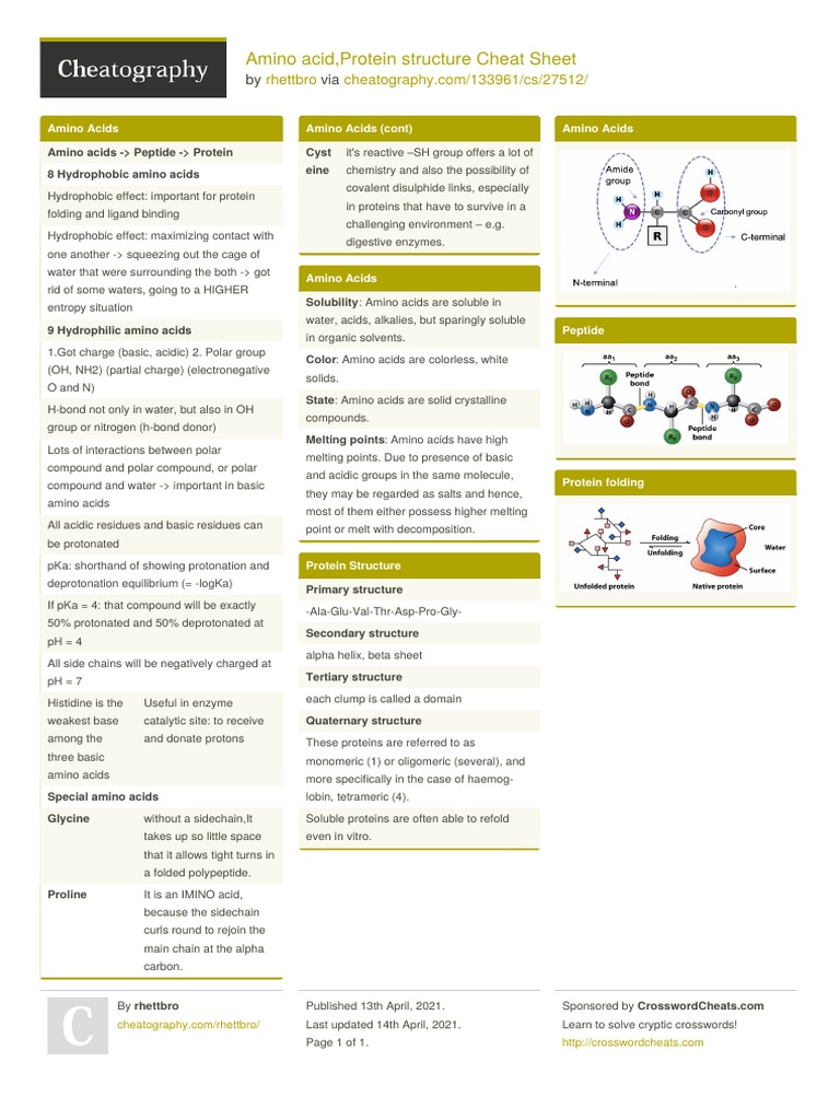Amino Acids and Protein Structure Guide | PDF | Proteins | Amino Acid