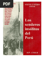 Steve Stern Sendero Peru