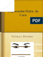 Exploración Física de Cara