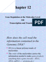 Chap12 Lecture 2019-S