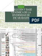 The Evolution and Genomic Basis of Beetle Diversity