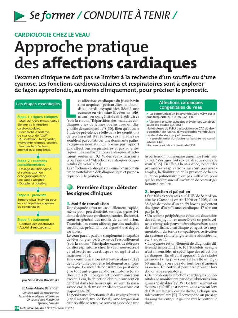 CARDIOLOGIE - Affections Cardiaques Des Bovins | PDF