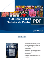 TutorialdeGirasolSerieVincent 0518 SAKATA 3