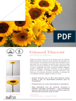 Ficha Tecnica Girasol Vincent