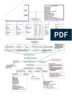 IM Peptic Ulcer Concept Map 2.0