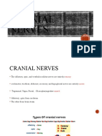 Cranial Nerves: Anatomy and Functions