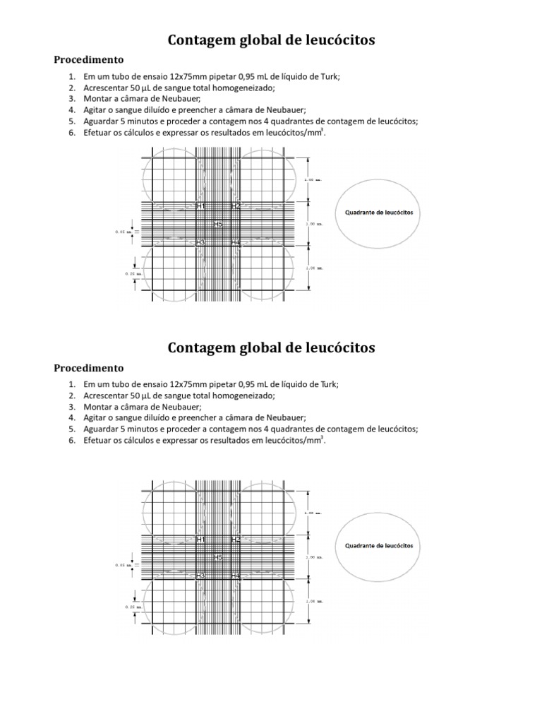 Contagem Global de Leucócitos | PDF