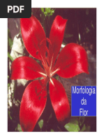 Estruturas e Morfologia da Flor | PDF | Fruta | Flores