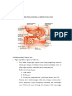 Sistem Reproduksi