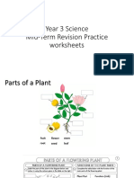 Mid Term Assessment Practice Worksheets