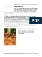 Tropical rainforest soil and humus layers