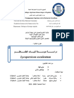 دراسة موسعة لنبات الطماطم Lycopersicon Esculentum