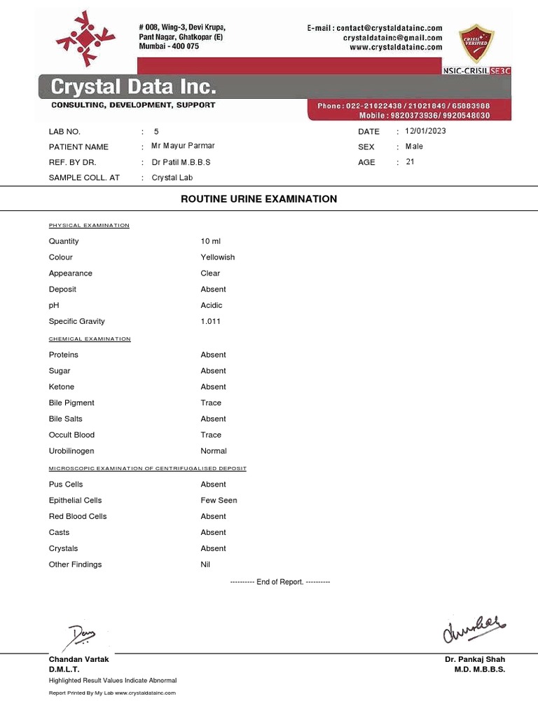Routine Urine Examination Report | PDF | Urine | Clinical Medicine