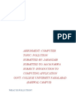 Computer Assignment on Pollution Types